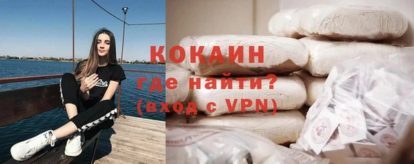 МДПВ Богородск