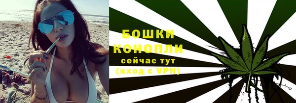 тгк Богданович