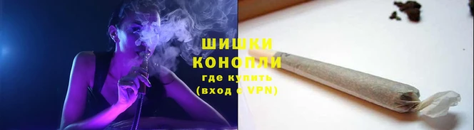 тгк Богданович