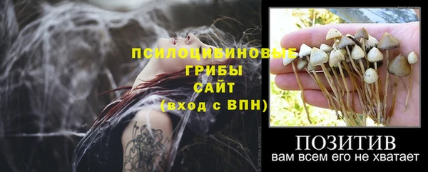 мет Богородицк